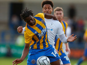 Supporting image for story: Steve Cotterill ‘relaxed’ at possible Shrewsbury exits