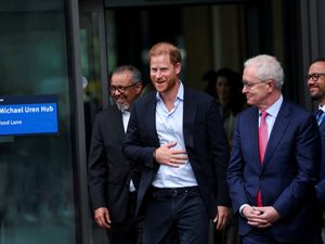 Supporting image for story: Harry to round off UK trip with Diana Award event after King reunion
