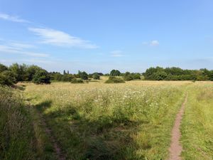 Supporting image for story: LETTER: Lack of litter a pleasant surprise