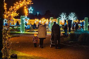 Trentham Winter Light Trail 
