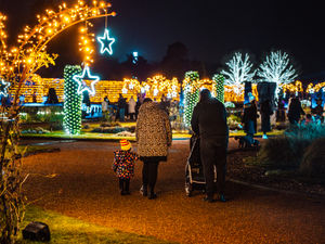 Supporting image for story: Winter wonderland returns to Staffordshire's Trentham Estate with mile-long light trail