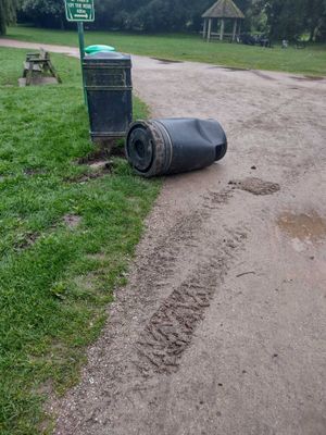 The chaos caused by the 'unknown vehicle' damaged bins and seating in the park. Photo: John Mooney