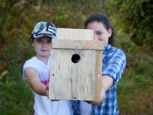 Supporting image for story: Radnorshire Wildlife Trust Launches 'Wilder Communities' Project to Empower Local Action for Nature