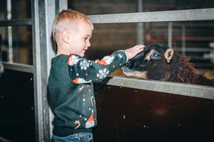 The Santa Experience includes access to the whole farm.