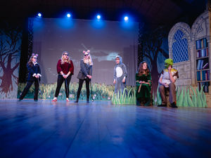 Supporting image for story: Pupils at Ludlow school wow audiences with performance of Shrek the Musical JR