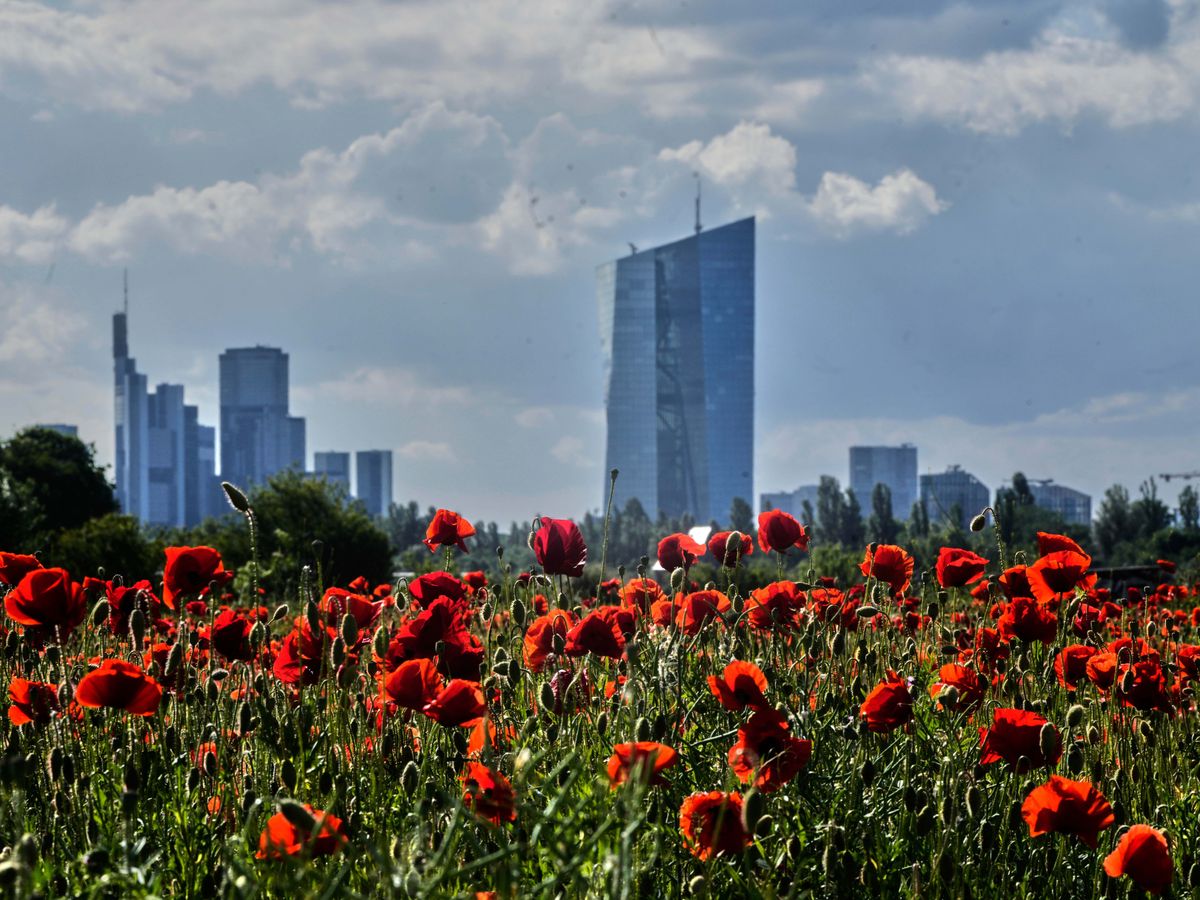 Germany&rsquo;s economy grew by 0.4% in first quarter, figures show