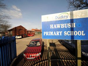 Supporting image for story: Dudley Council consult on special educational needs school changes