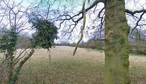 Perton Dog Walking Facility on Dippons Lane. Credit: Google. With permission for all LDRS partners