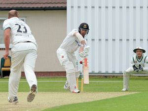 Supporting image for story: Cricket leagues in limbo amid virus crisis