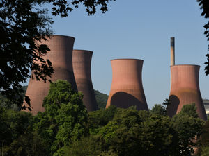 Supporting image for story: Newt homes needed at Ironbridge Power Station