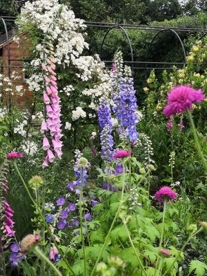 Amanda has taken time to learn what grows best in her soil