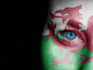 Supporting image for story: St David's Day 2018: Where to celebrate across Shropshire and the Midlands