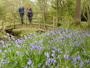 Supporting image for story: New Shropshire garden opening for charity
