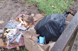 The dumped rubbish. Photo: Telford & Wrekin Council
