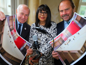 Supporting image for story: Businesses urged to be part of civic artwork 