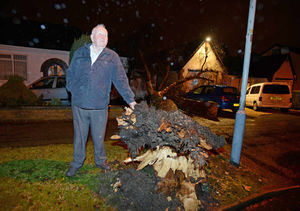Robin Hughes with the tree that fell in Rowan Crescent, Wolverhampton
