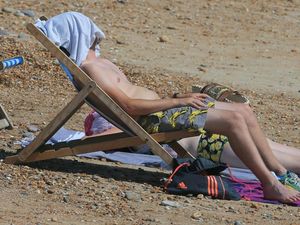 Supporting image for story: Summer more stressful than winter, study reveals