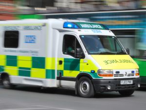 Supporting image for story: Five children taken to hospital after tree falls in park in Essex