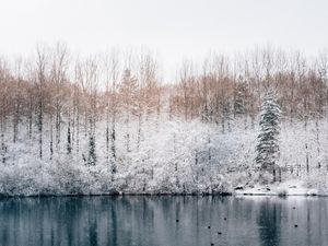 Supporting image for story: Weather latest: Barriers going up in Shrewsbury as five flood alerts in place following snow