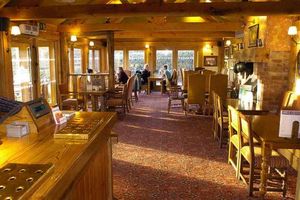 Supporting image for story: The Old Irish Harp, Aldridge