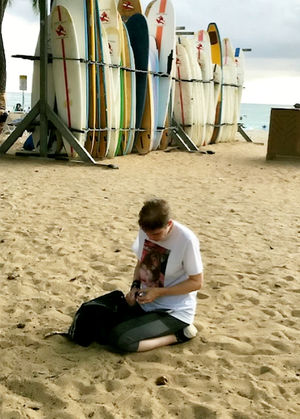 The site where Lisa Murray Lang, 46, left the ashes of her Syrian hamster 'Spud' in Hawaii. Photo: Lisa Murray-Lang/SWNS