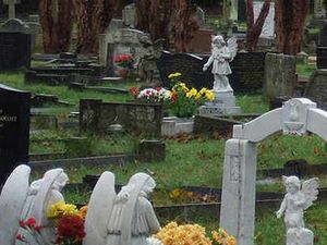 Supporting image for story: Fresh battle over cemetery plans in Rushall