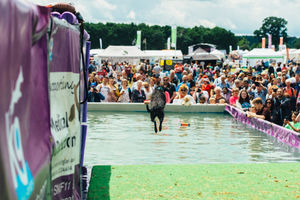 DogFest. All pictures from: https://dog-fest.co.uk/cheshire