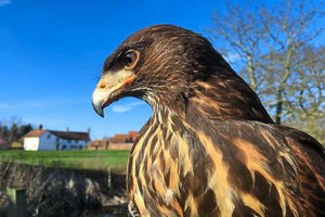 Supporting image for story