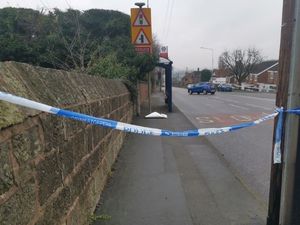 Supporting image for story: Disqualified driver who killed man and seriously injured his wife in Sedgley hit-and-run is jailed for 15 years