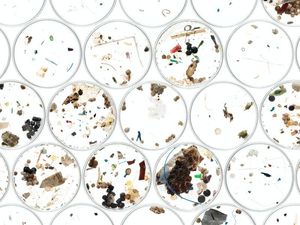 Supporting image for story: Ocean currents creating microplastic hotpots in deep sea, study finds