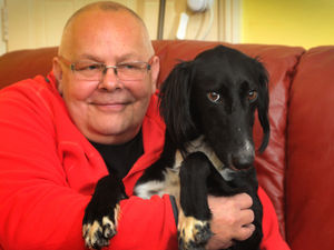 Supporting image for story: Miles better: Dog hit by police car near Oswestry is on the mend
