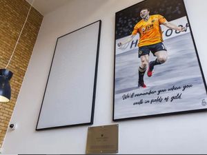 Supporting image for story: Wolves unveil paintings in tribute to Diogo Jota