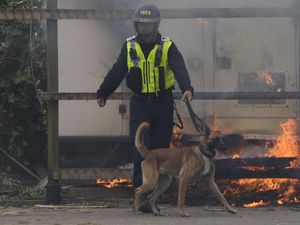 Supporting image for story: Police dogs should be phased out, Peta tells Met commissioner