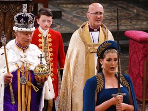 Supporting image for story: Peter Rhodes on demonstrators, a sword bearer and how time changes minds