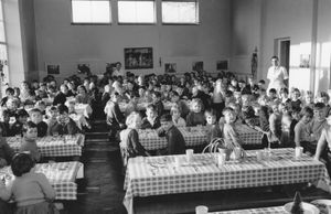 Children at Crowmoor Primary School, Shrewsbury, around Christmas 1960. This picture was shared by one of the children, Ian Griffiths, who said: 'The photo was taken at Christmas in the dining room at Crowmoor Primary School Shrewsbury and says c.1960 on the reverse. I am seated on the extreme right of the picture and my youngest sister Marilyn Griffiths is seated on the end of the fourth table up on the left. The rather stern looking dinner top right is Mrs Pugh, the mother of Mal Pugh the well known Shrewsbury Disc Jockey of the 1970's.'