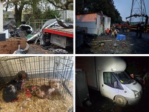 Supporting image for story: Vehicles, dogs and air rifle seized as suspected Cannock chop-shop uncovered
