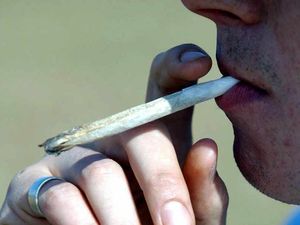 Supporting image for story: Urgent warning issued over contaminated cannabis