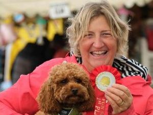 Supporting image for story: 20 spectacular pictures from Kington Show, described as one of the best ever by show bosses