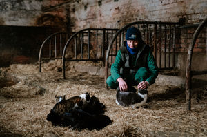 Graham Garmston with some of his cats