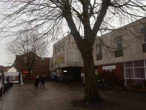 Supporting image for story: Market Drayton trees face axe to improve TV signal