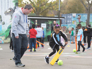 Supporting image for story: School a shining cricket example