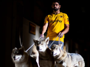 Supporting image for story: Wolves signing Diego Costa ready to be unleashed on Premier League