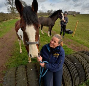 Denise O'Reilly with one of the horses