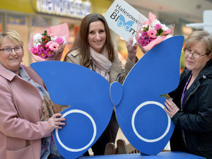 Supporting image for story: Halesowen finalist for first time in Britain in Bloom competition 