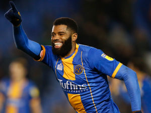 Supporting image for story: Shrewsbury comment: Transfer hits give Town a chance