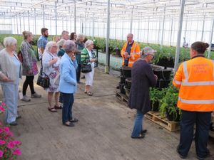Supporting image for story: Flower fans to get sneak peek of 300,000 blooms before they brighten up Shrewsbury