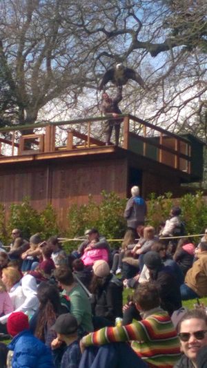 The falconry display saw some of the world's most impressive birds take flight