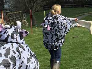 Supporting image for story: Wellie-wanging plans for Shropshire get the boot