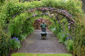 Head gardener Nick Huxley surveying his work