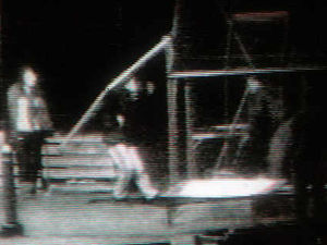 Supporting image for story: Children devastated by attack on garden